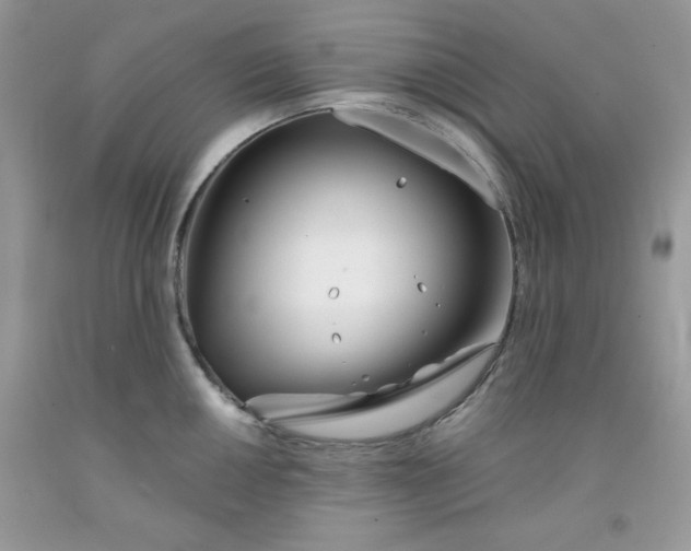 X0000091701050200709141055