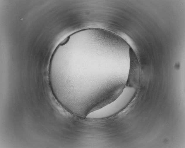 X0000091701052200709141055