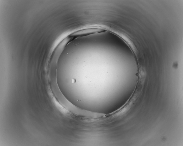 X0000091701054200709141055