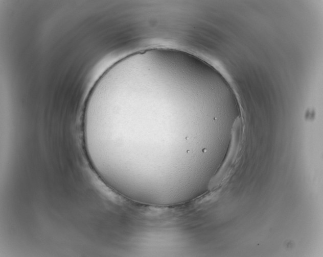 X0000091701056200709141055