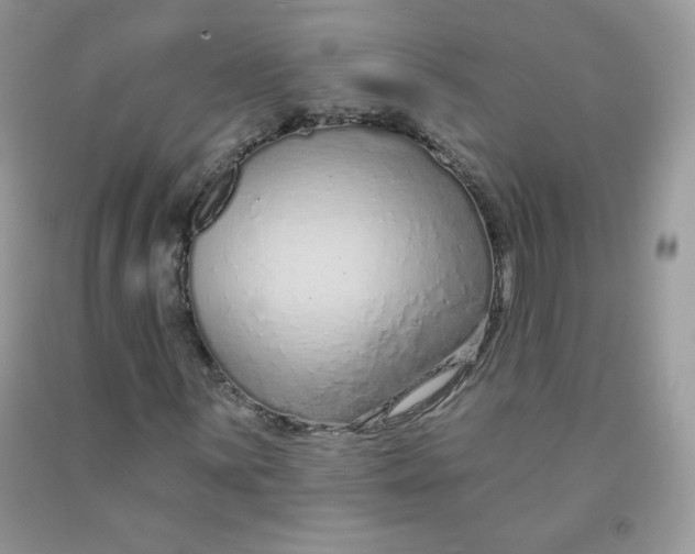 X0000091701059200709141055