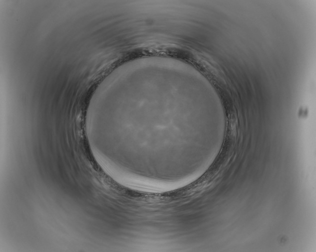 X0000091701060200709141055