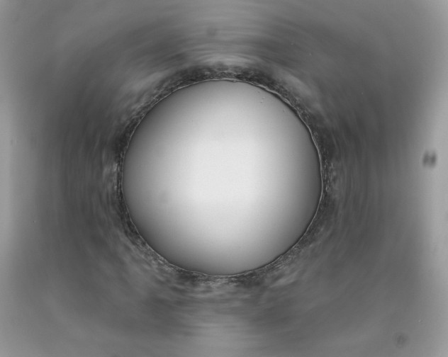 X0000091701061200709141055