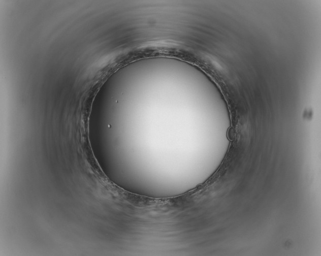 X0000091701062200709141055