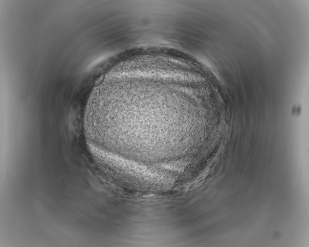 X0000091701063200709141055