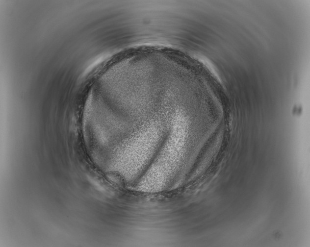 X0000091701064200709141055