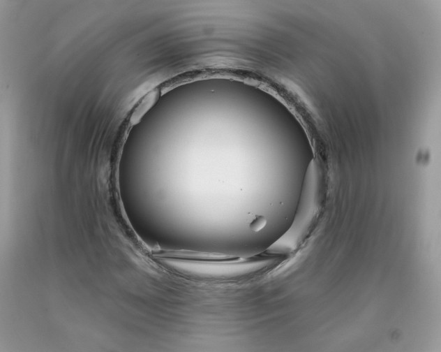 X0000091701065200709141055