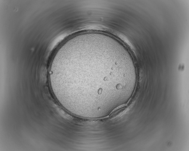 X0000091701067200709141055