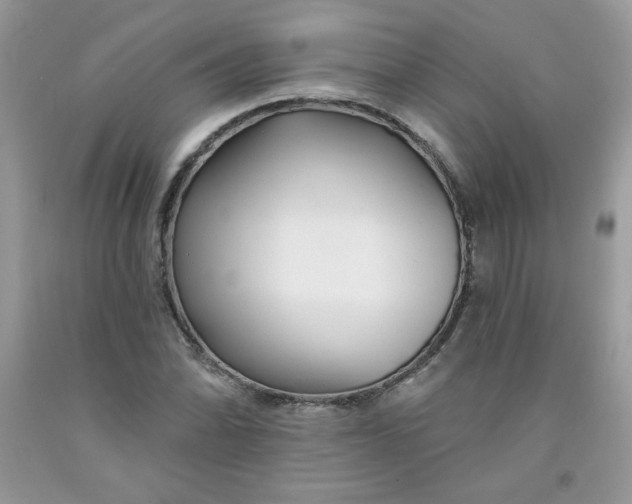 X0000091701070200709141055