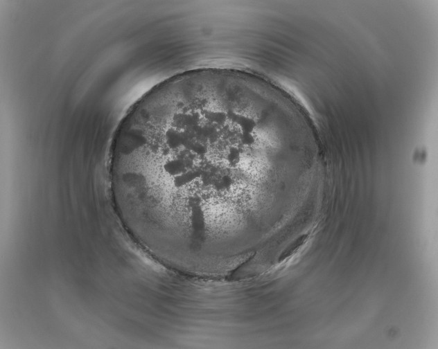 X0000091701071200709141055