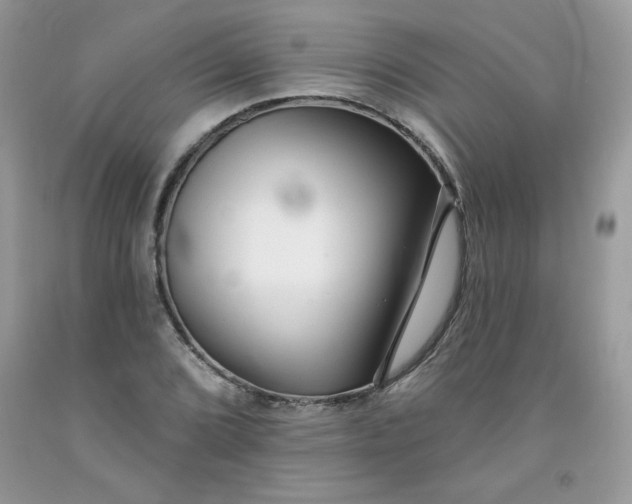 X0000091701072200709141055