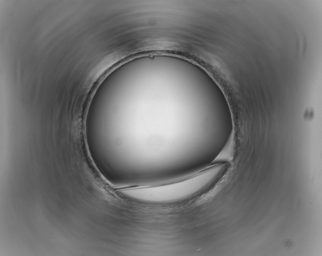 X0000091701073200709141055