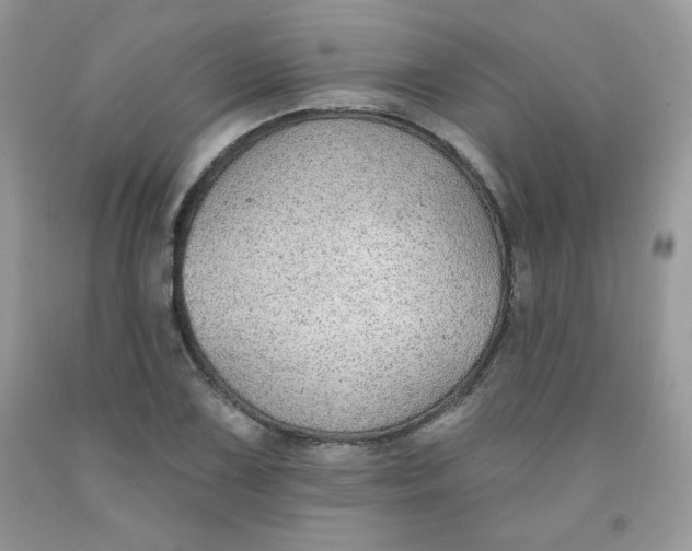 X0000091701075200709141055