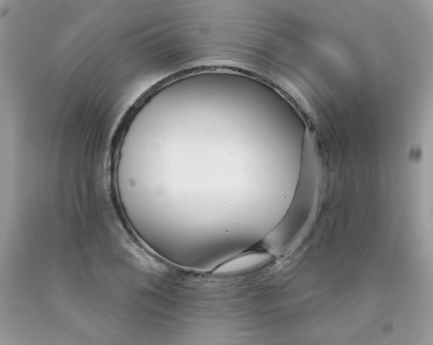 X0000091701076200709141055