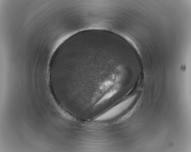 X0000091701077200709141055