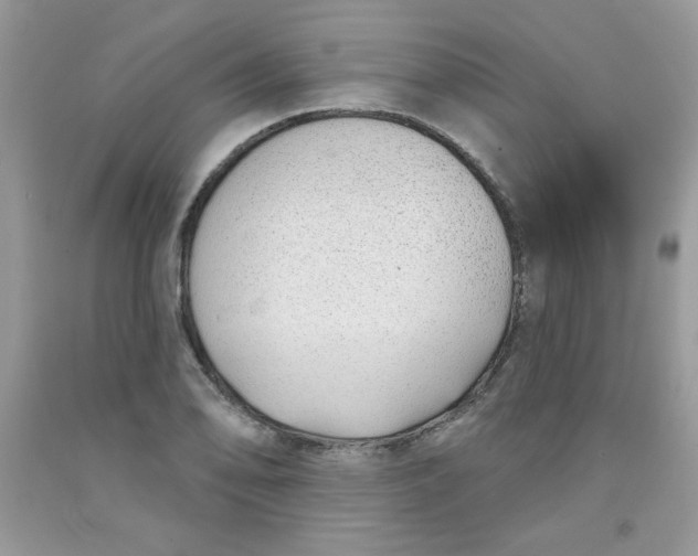 X0000091701078200709141055