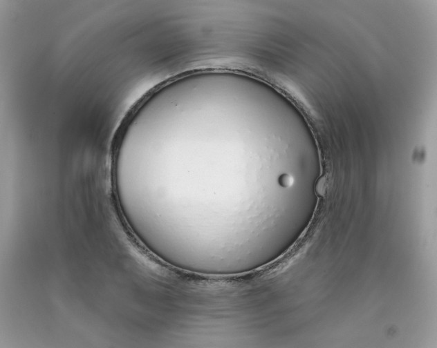 X0000091701079200709141055