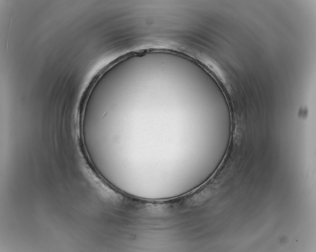 X0000091701080200709141055