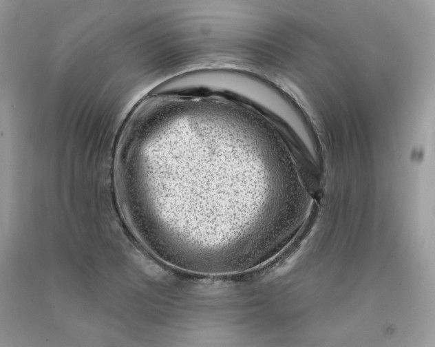 X0000091701081200709141055