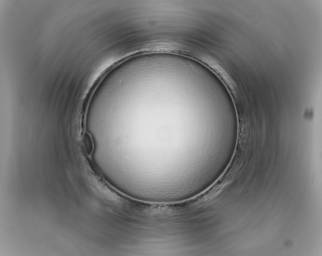 X0000091701083200709141055