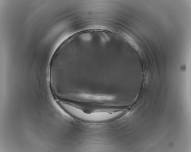 X0000091701084200709141055