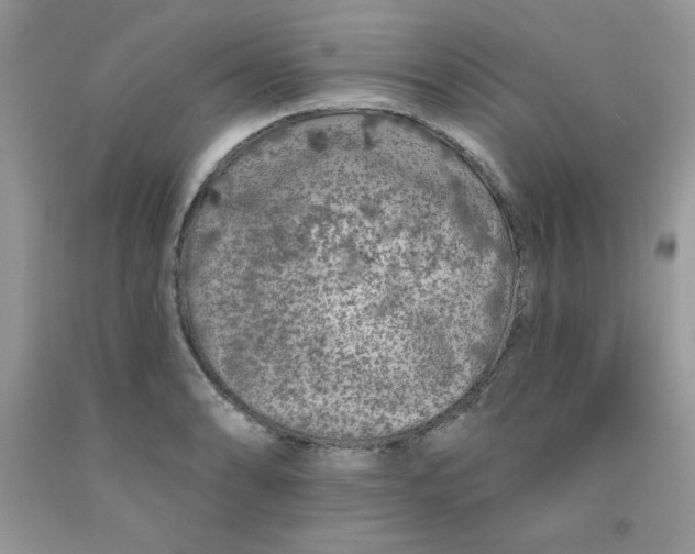 X0000091701086200709141054