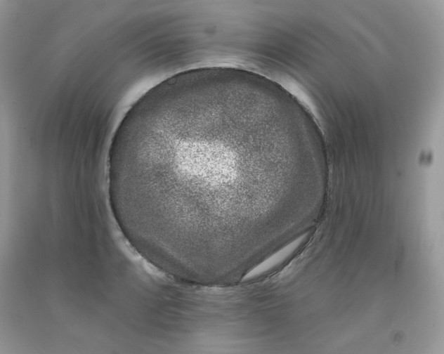 X0000091701088200709141054