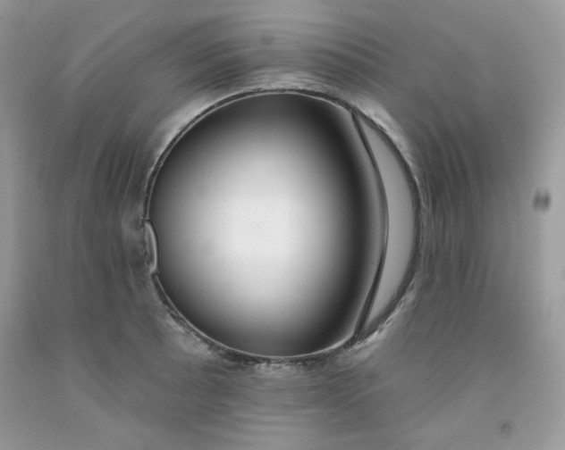 X0000091701089200709141054