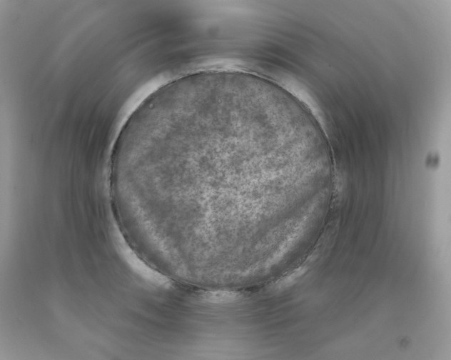 X0000091701090200709141054