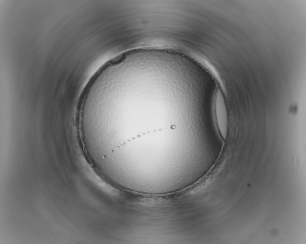 X0000091701091200709141054