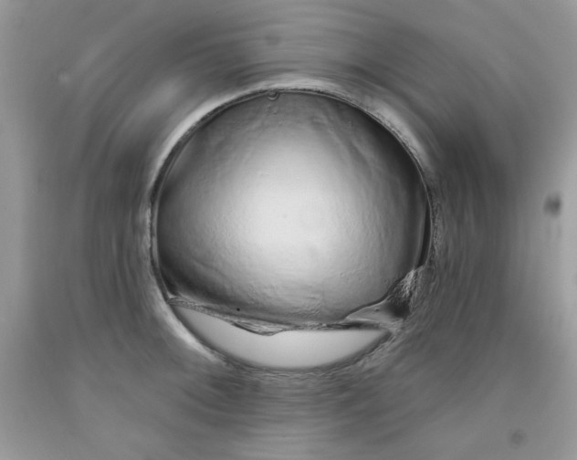 X0000091701092200709141054