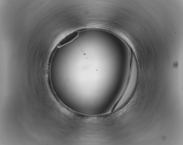 X0000091701093200709141054