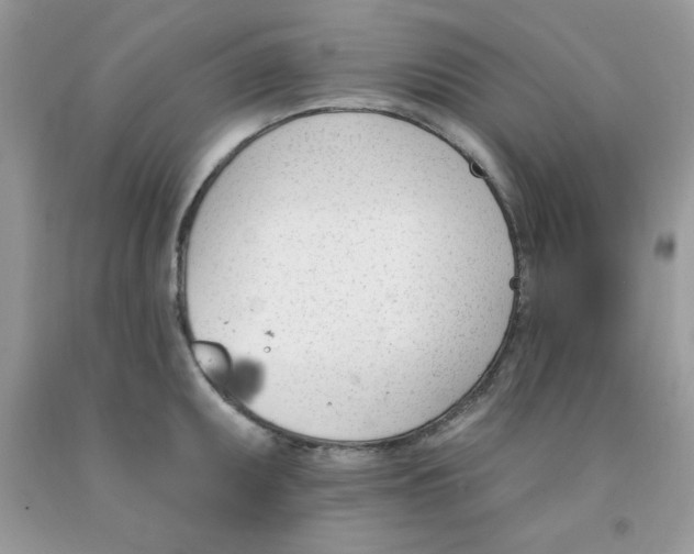 X0000091701095200709141054