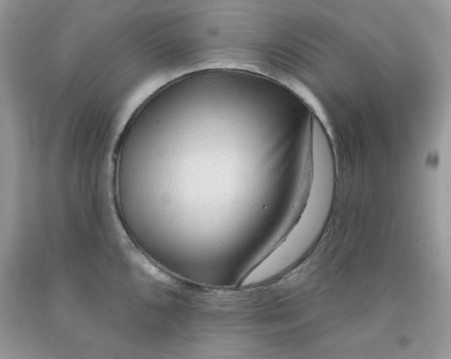 X0000091701096200709141054