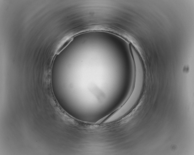 X0000091701097200709141054