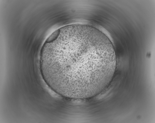 X0000091701099200709141054