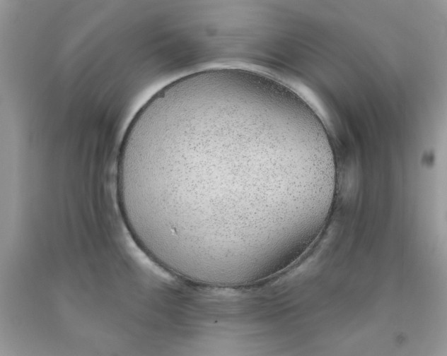 X0000091701100200709141054