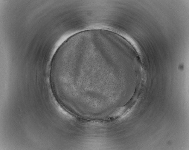 X0000091701102200709141054