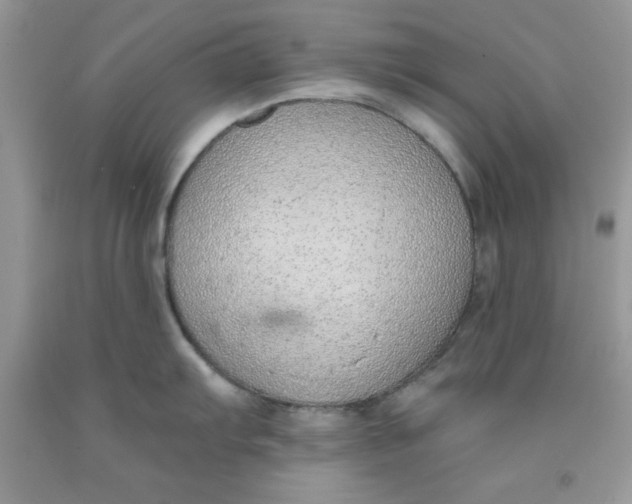 X0000091701103200709141054