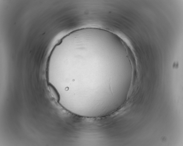 X0000091701104200709141054