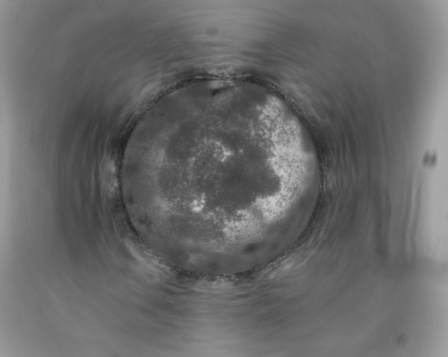 X0000091701106200709141054