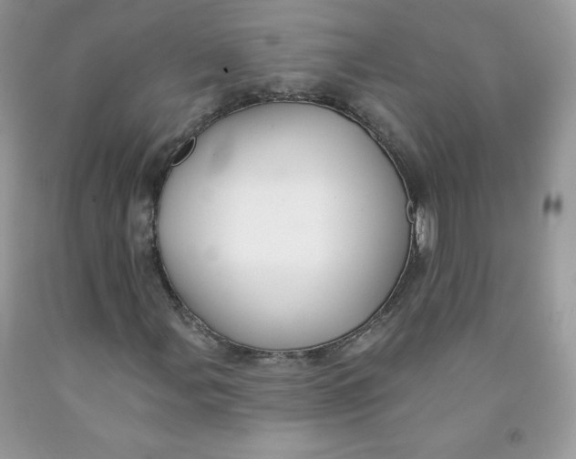 X0000091701107200709141054