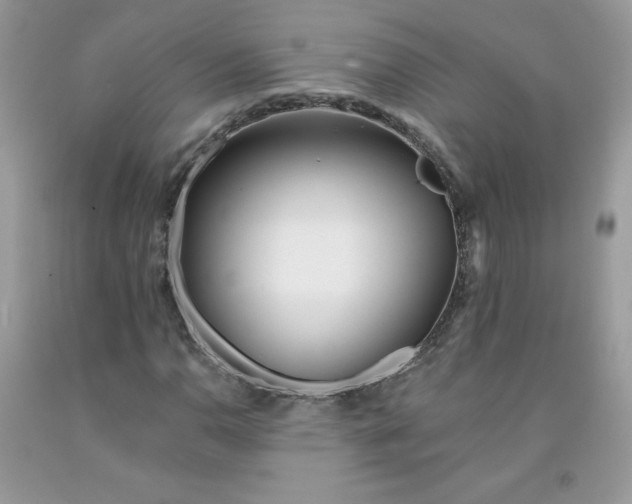 X0000091701110200709141054