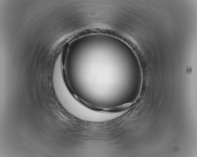 X0000091701112200709141054