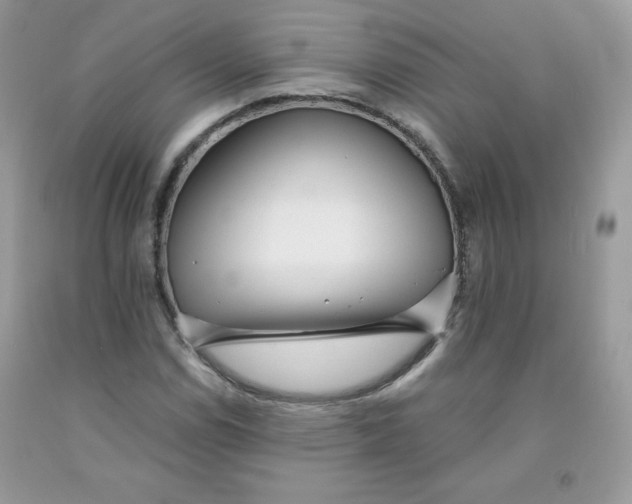 X0000091701114200709141054