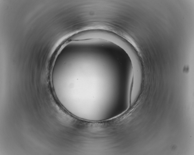 X0000091701116200709141054