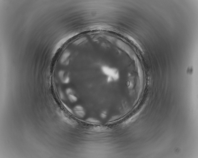 X0000091701117200709141054