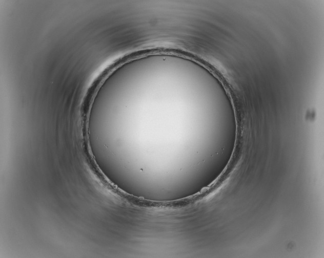 X0000091701118200709141054