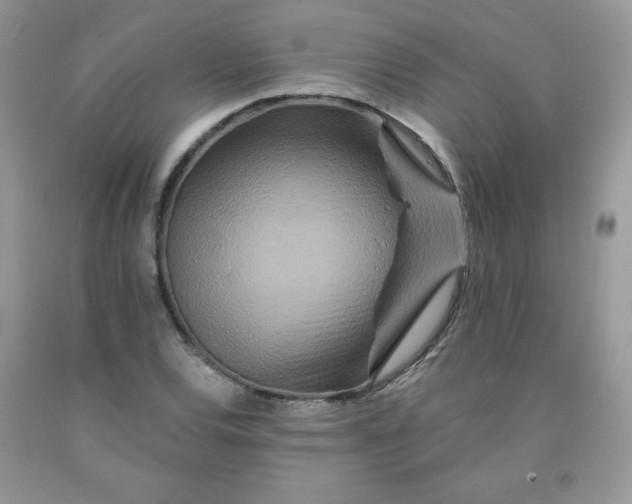 X0000091701120200709141054