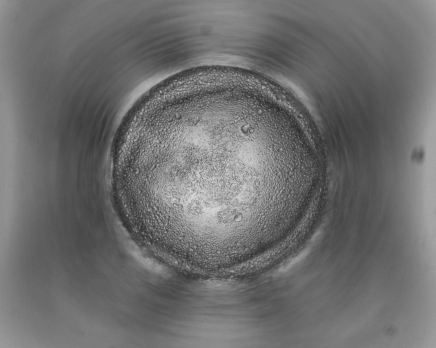 X0000091701125200709141054